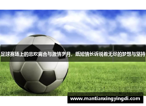 足球赛场上的悲欢离合与激情岁月，纸短情长诉说着无尽的梦想与坚持